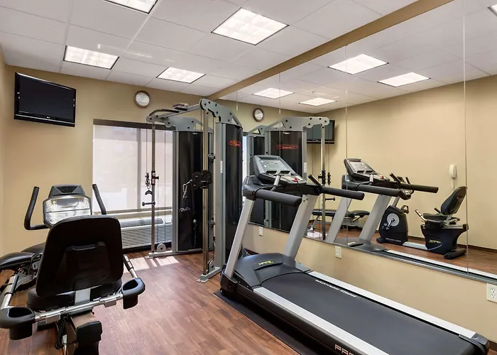 Comfort Inn & Suites Port Arthur-Port Neches